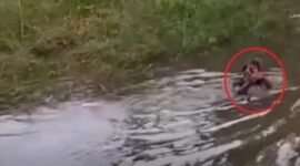 Penjudi Sabung Ayam di Gowa Takut Tertangkap Pilih Nyebur ke Danau (Ist)