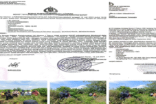 Tersangka Tak Ditahan, Kasus Sawit Bengkayang Cerminan Lemahnya Penegakan Hukum