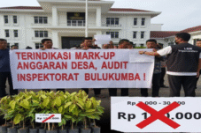 Harga Asli Rp 20 Ribu, Dicatat Rp 150 Ribu! Pengadaan Bibit di Bulukumba Diduga Bermain