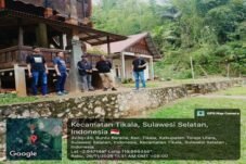 Polisi Geruduk Tongkonan Tangga Langi’, Dugaan Sabung Ayam Buyar di Lokasi