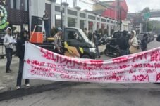 Uang Publik Rp60 Miliar Menguap, Dugaan Korupsi Bibit Nanas Sulsel Menguat