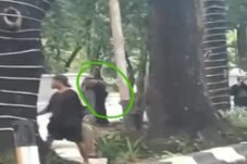 Aspirasi Pemekaran Luwu Tengah Berakhir Ricuh, Busur Muncul di Tengah Aksi