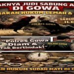 Judi Sabung Ayam di Gowa Tak Tersentuh Hukum? Ini Kata Aktivis