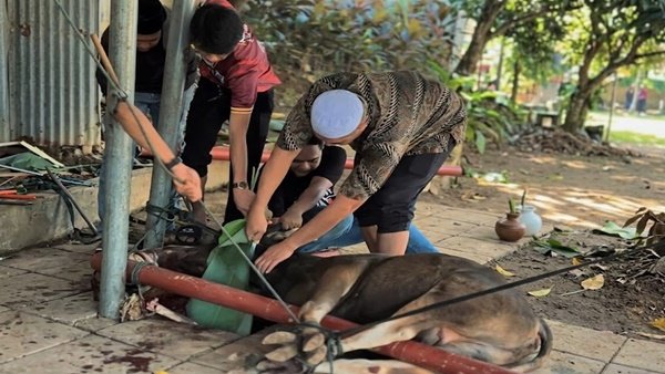 Sejumlah karyawan dan manajemen MaxOne Hotel & Resort Makassar bergotong royong memotong dan mengemas daging kurban, Rabu (27/5/2026)