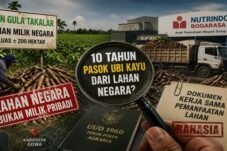 Siapa Diuntungkan? Lahan Negara 200 Hektare Diduga Jadi Tulang Punggung Pasokan Ubi Kayu Perusahaan