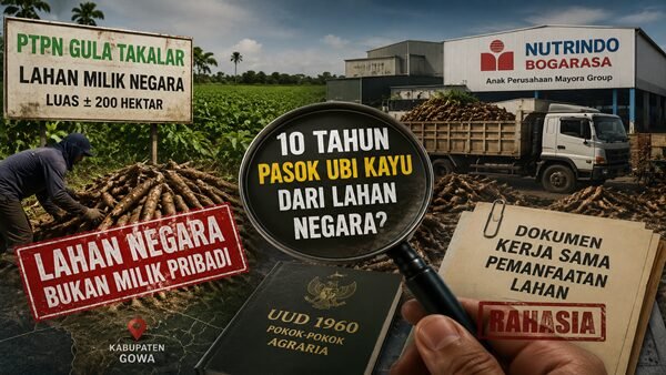 Siapa Diuntungkan? Lahan Negara 200 Hektare Diduga Jadi Tulang Punggung Pasokan Ubi Kayu Perusahaan